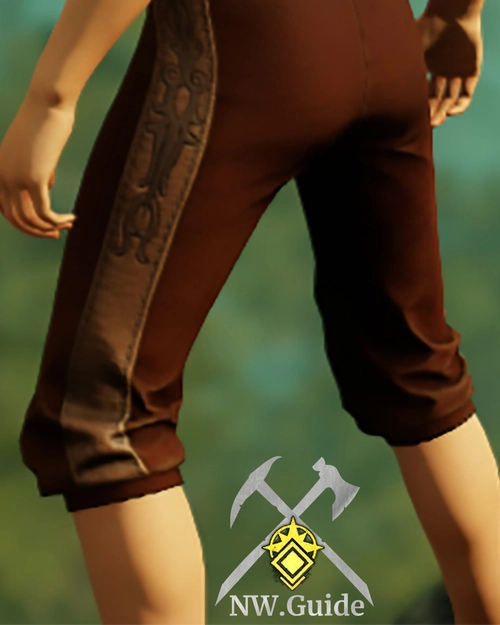Detailed picture of the Dryad Stalker Pants T5 from the back