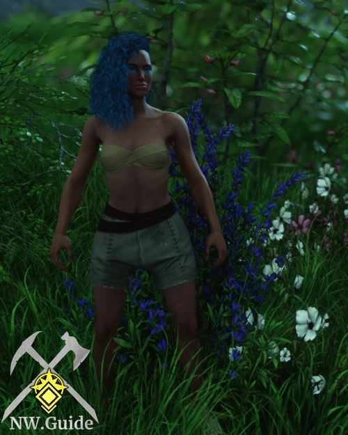 Screenshot of small bush of Herbs in First Light