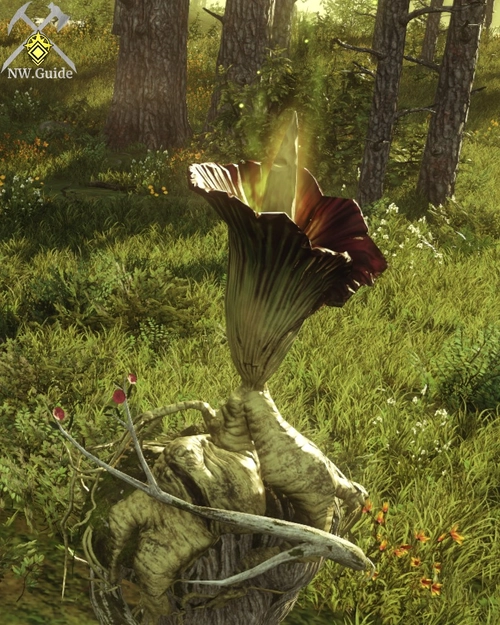 Earthspine plant screenshot