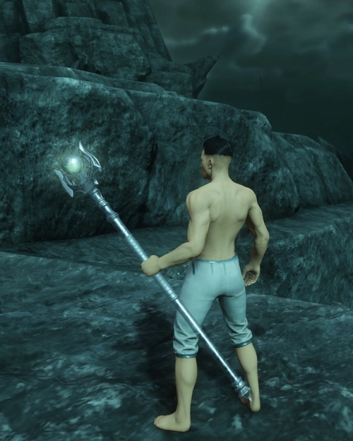 Soul Crystal Life Staff