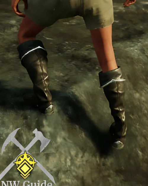 Screenshot of the Profane Boots T5 medium foot wear