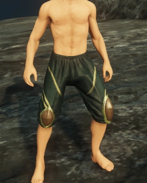 Immemorial Leather Pants