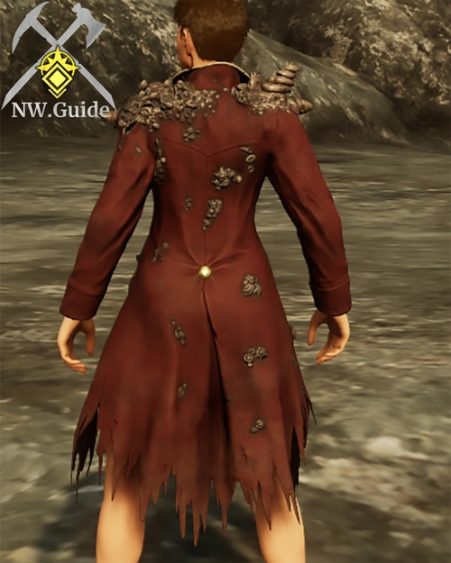 Screenshot of the Pirate Gunslinger Coat T5 from the back
