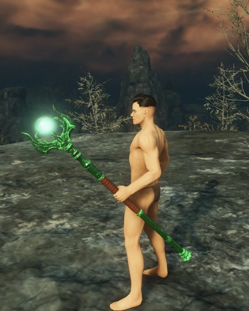 Curious Bewitched Staff