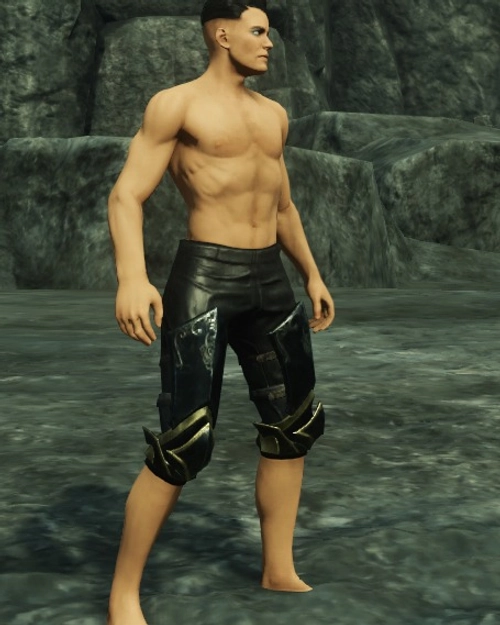 Tempest Guard Greaves