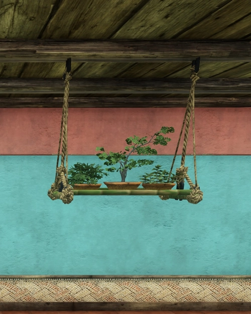 Hanging Plant Nursery