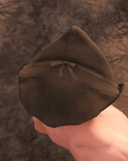 Screenshot of Knowledge Seekers Hat from above