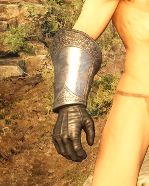 Fortune Hunters Plate Gauntlets