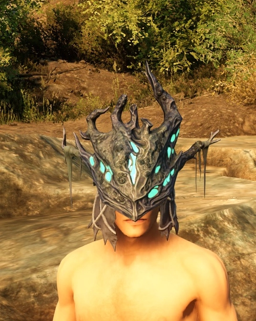 Brined Helm of the Sentry