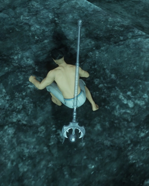 Soul Crystal Life Staff