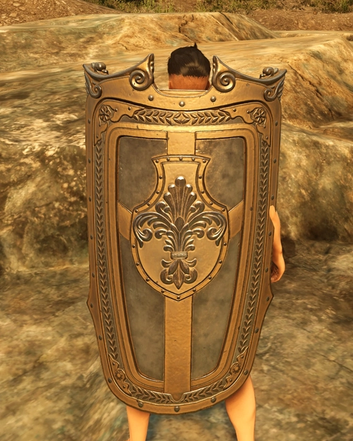 Ancient Tower Shield