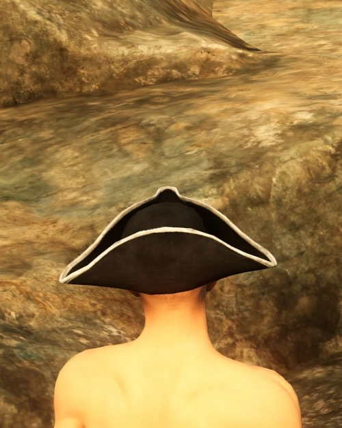 Musketeers Hat