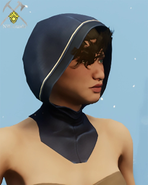 Photo of the crafted Tempest Guard Hood T5