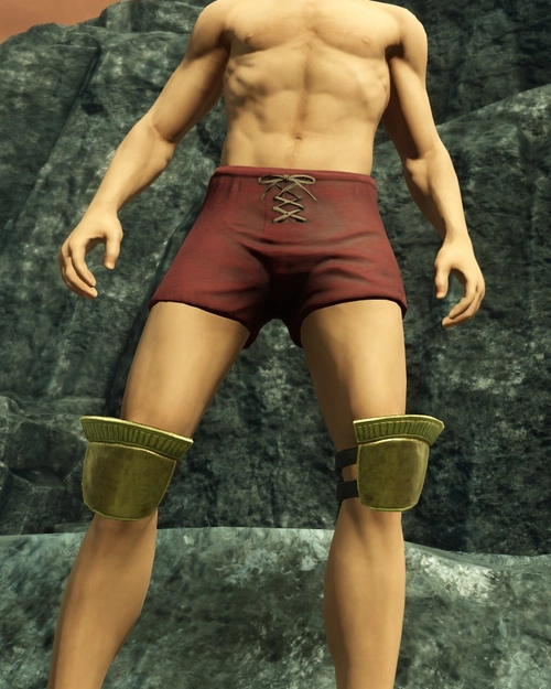 Aureates Golden Braccae