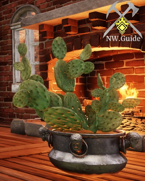 Potted Opuntia Cactus in front of fireplace