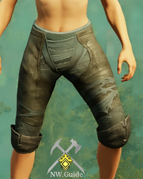 Photo of crafted Guardian Flanker Pants T5 