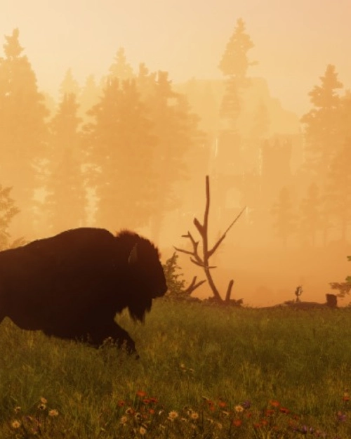 Screenshot of Bison who is really happy to be part of NW