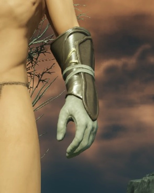 Immemorial Leather Gloves