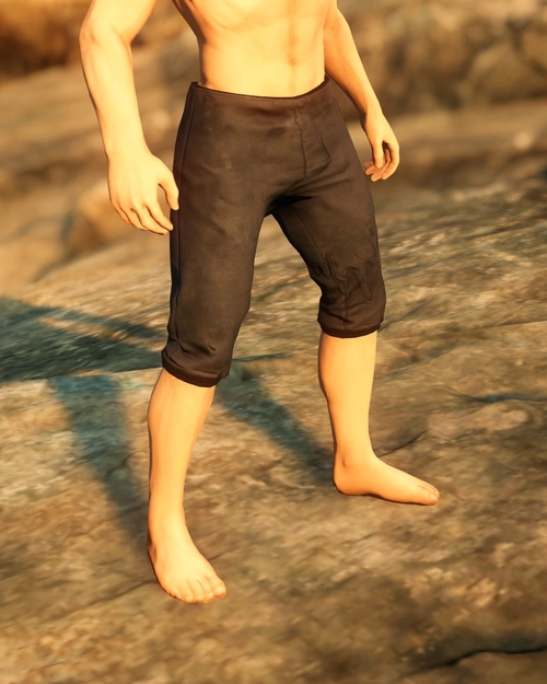 Pirate Gunslinger Pants