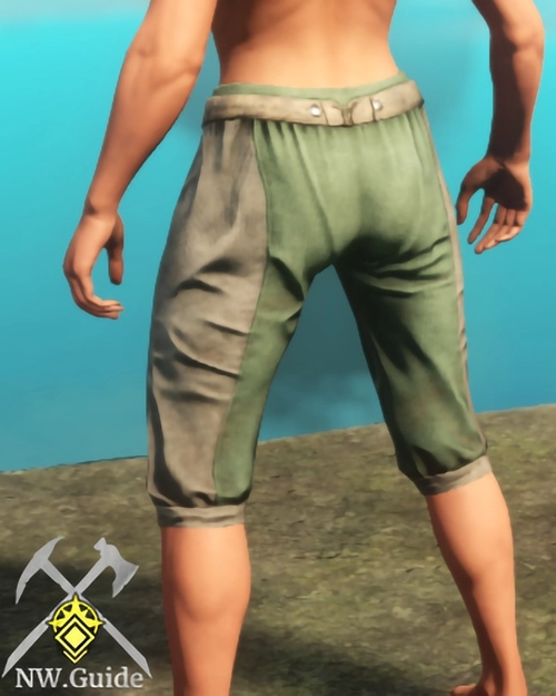 Screenshot of Mixers Pants made from the back