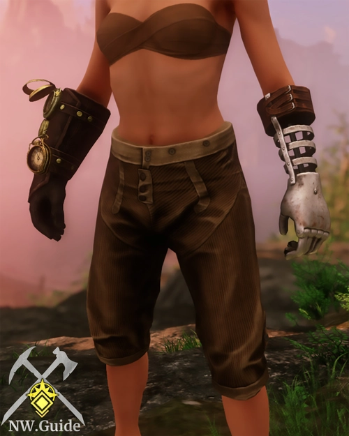Screenshot of Engineer Gloves T5 equipped by the character