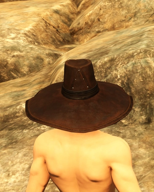 Sorcerer Hunter Hat
