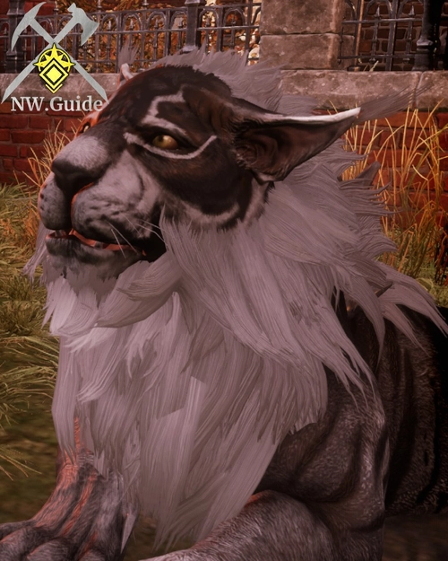 Closeup screenshot of the face of Ashen Tiger