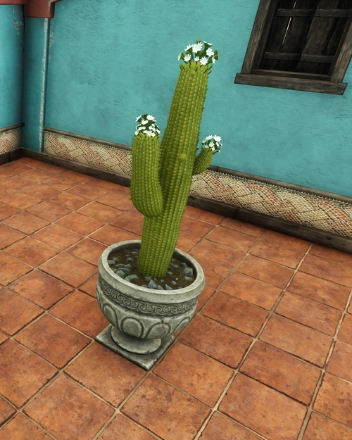 Potted Saguaro Cactus