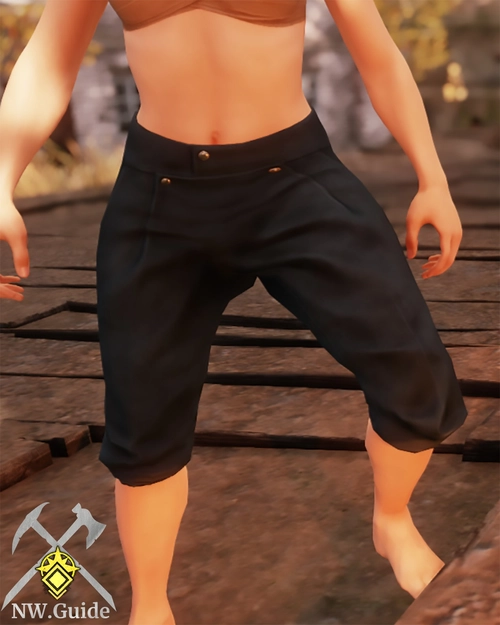 Screenshot of the front part of the Tanner Pants T5