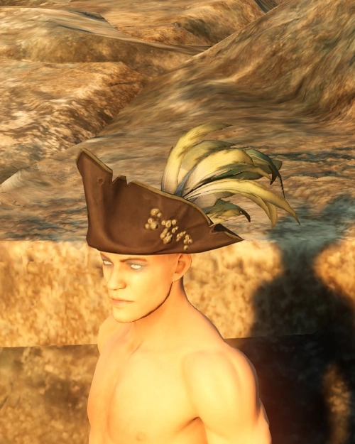 Pirate Gunslinger Hat