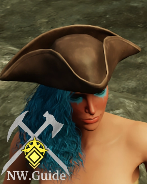 Photo of the crafted Swashbuckler Hat