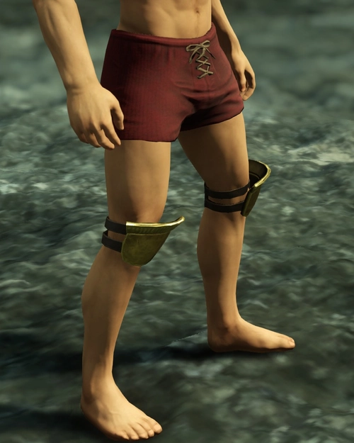 Aureates Golden Braccae