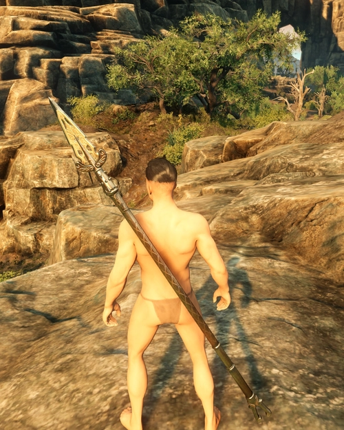 Pirated Spear of the Ranger