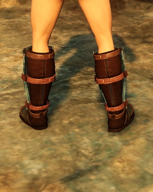 Elegant Warriors Boots