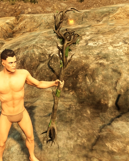 Arboreal Dryad Fire Staff