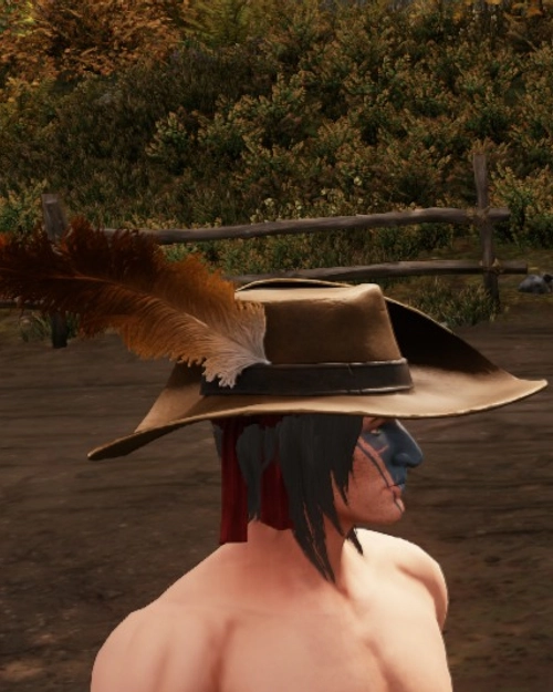 Screenshot of Homesteaders Hat