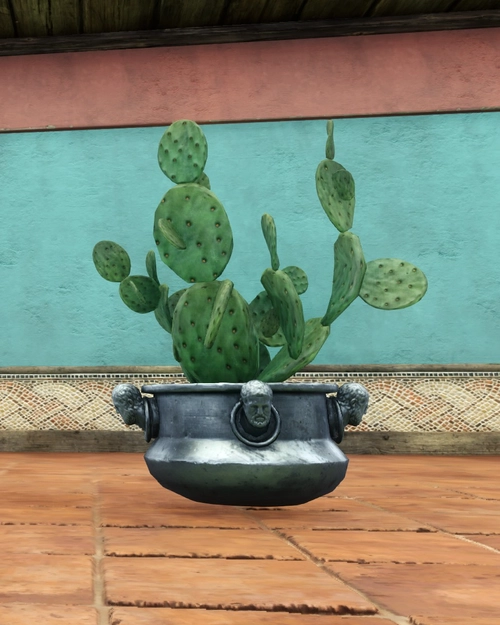 Potted Opuntia Cactus