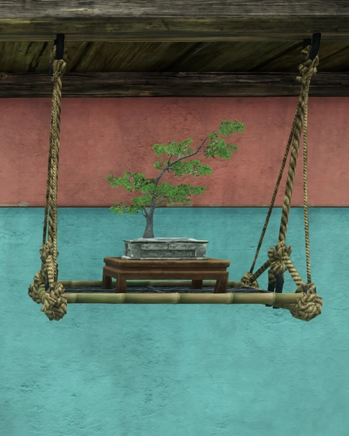 Hanging Bonsai
