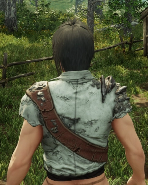 Screenshot of Waterlogged Shirt from the back