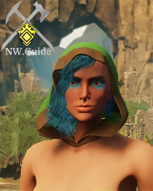 Screenshot of the Forest Wardens Hood T4