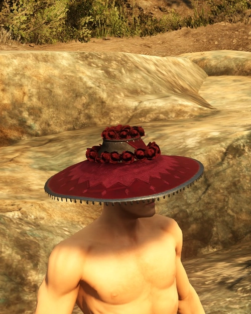 Springtime Hat