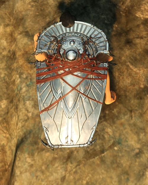 Deepwatcher Tower Shield