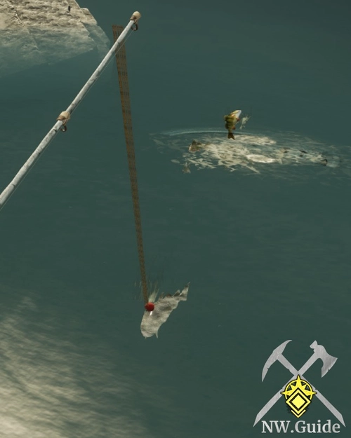 Screenshot of Large Cod during fishing on hotspot