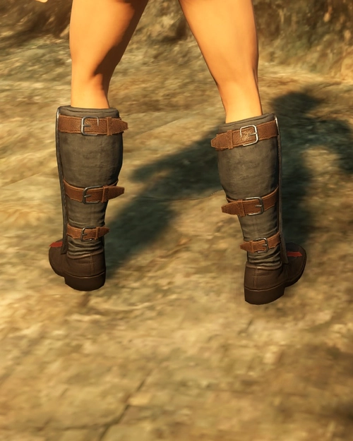 Strengthened Battles Embrace Boots