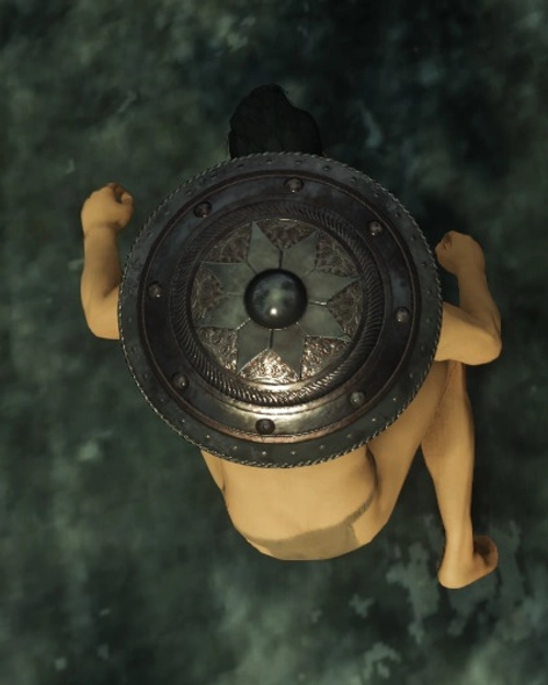 Defiled Round Shield