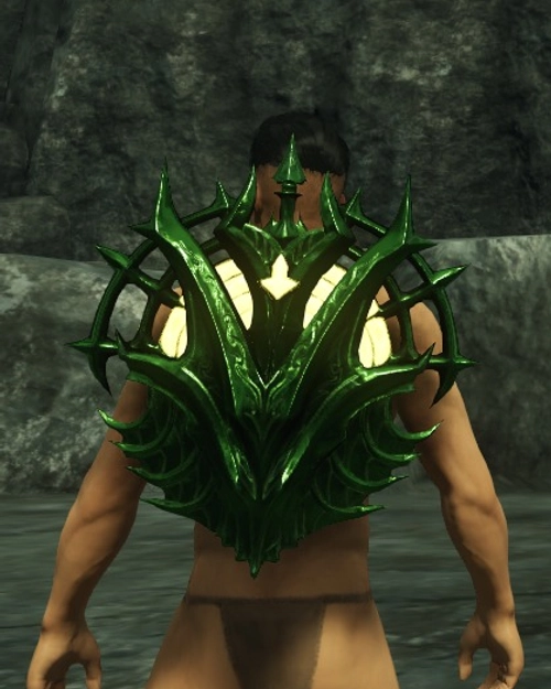 Overgrown Buckler of the Soldier