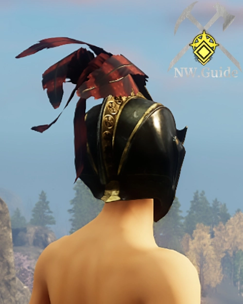 Photo of the back of the Tempest Guard Helm T5