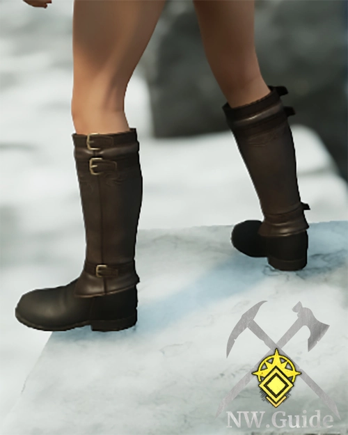 Tempest Guard Shoes farmed in Tempest heart expedition 