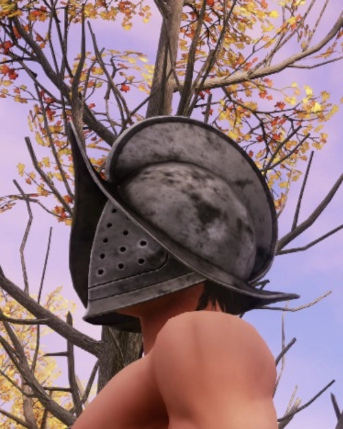 Screenshot of Plate Helm from above