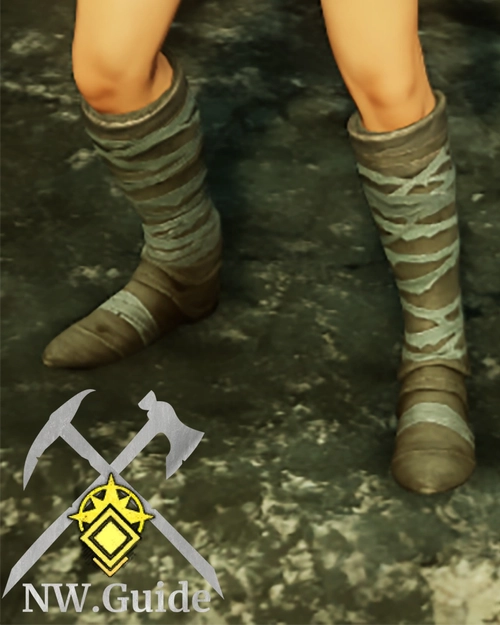 Screenshot of the crafted Guardian Flanker Shoes T5